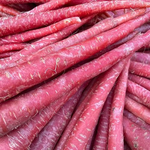 Carrot Seed