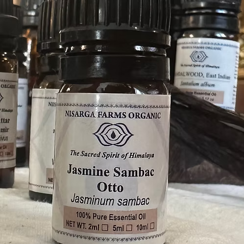 Jasmine Sambac Otto